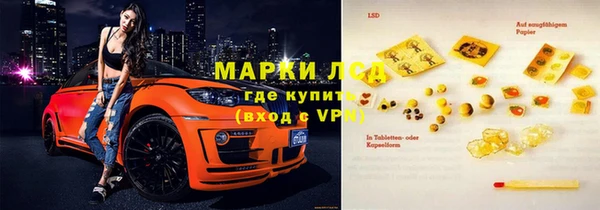ГАЛЛЮЦИНОГЕННЫЕ ГРИБЫ Балабаново