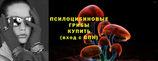 ГАЛЛЮЦИНОГЕННЫЕ ГРИБЫ Балабаново