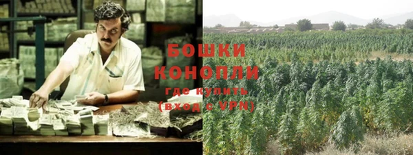 тгк Новозыбков